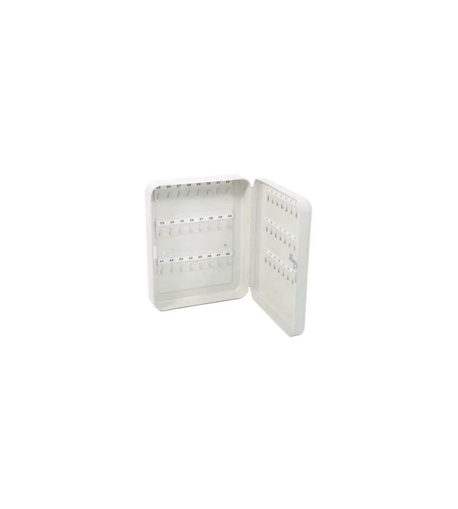Cassetta Portachiavi 48 Ganci 240X300X70