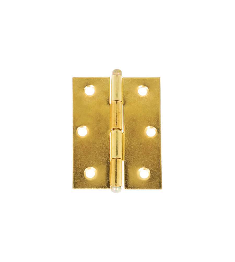 Cerniere pomoli sferici 50 x 40 mm ottonato 2 pz