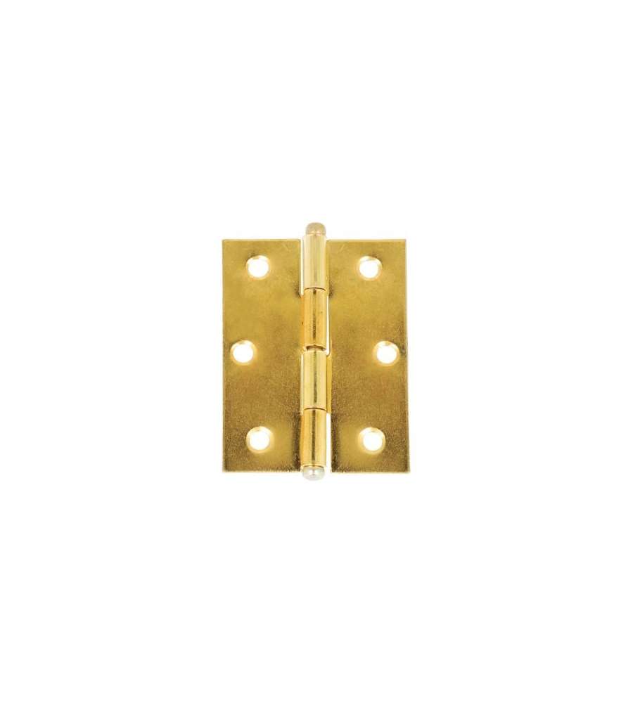 Cerniere pomoli sferici 60x50 mm ottonato 2 pz