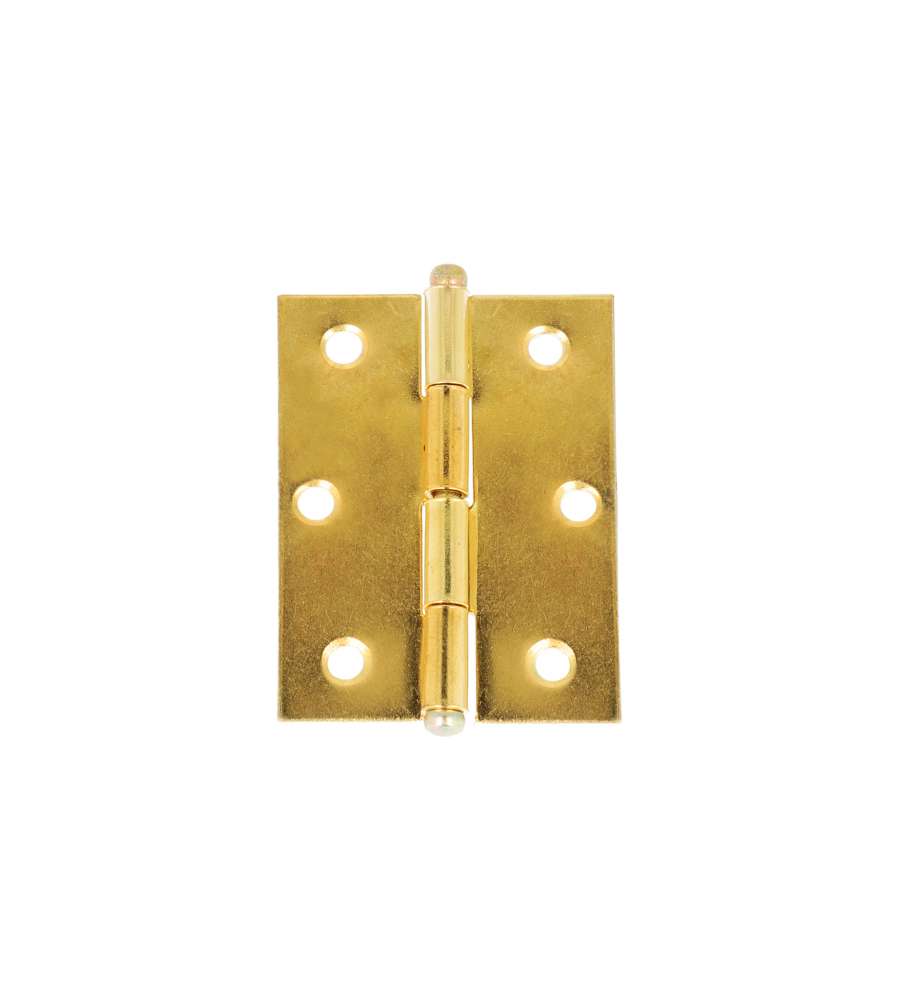 Cerniere con spina a levare in ferro ottonato 30x30 mm