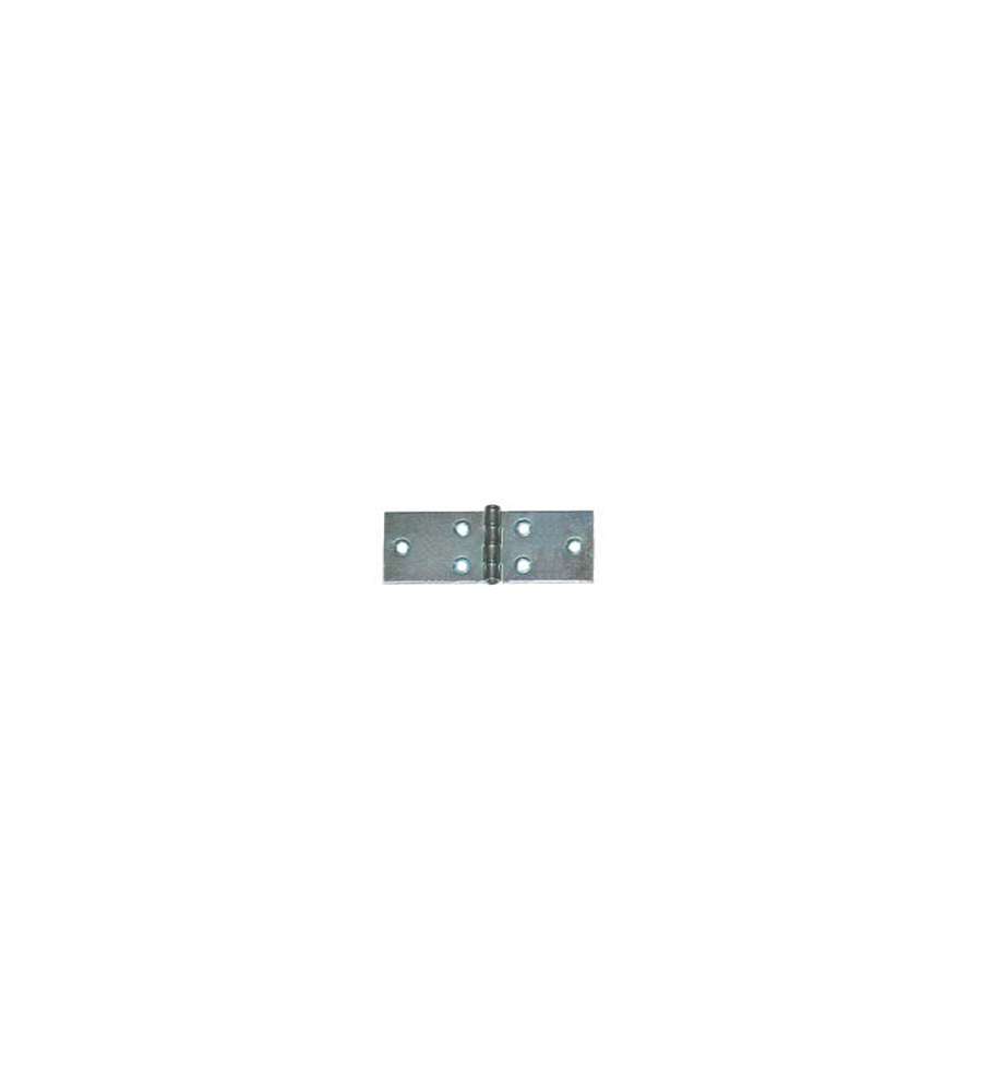Cerniere lunghe 40 x 25 mm zincate