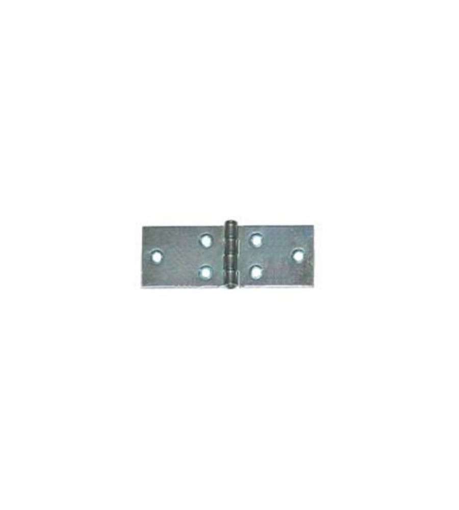 Cerniere lunghe 100x25 mm 4 pz acciaio zincato