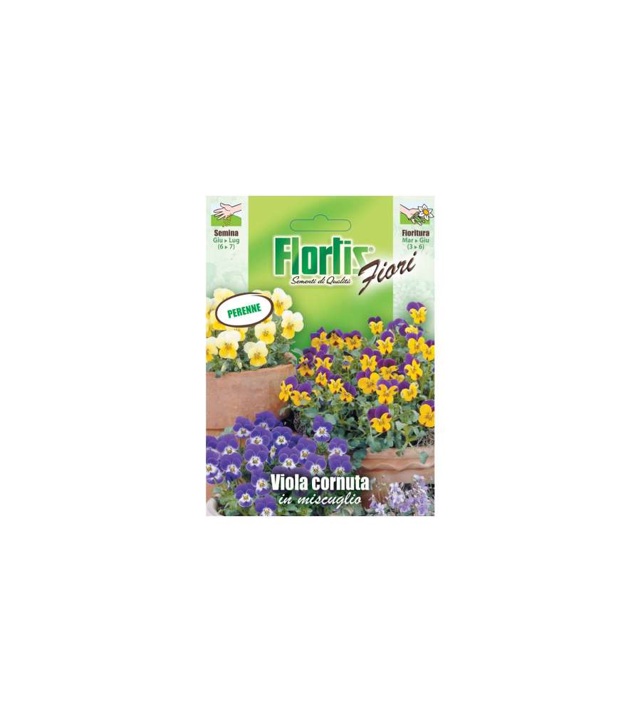 Sementi Fiori Viola Cornuta Mix - Pronte per Semina