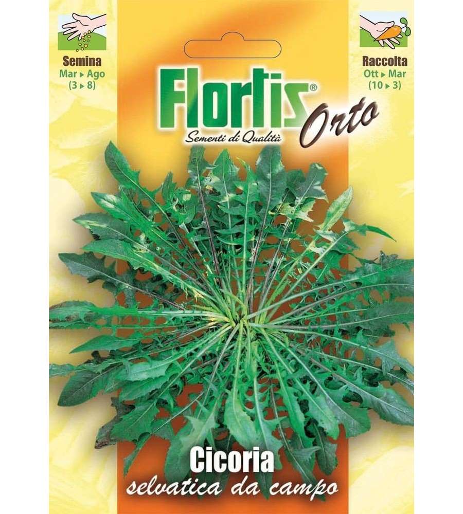 Sementi Orto - Cicoria Selvatica Da Campo - Pronte per Semina