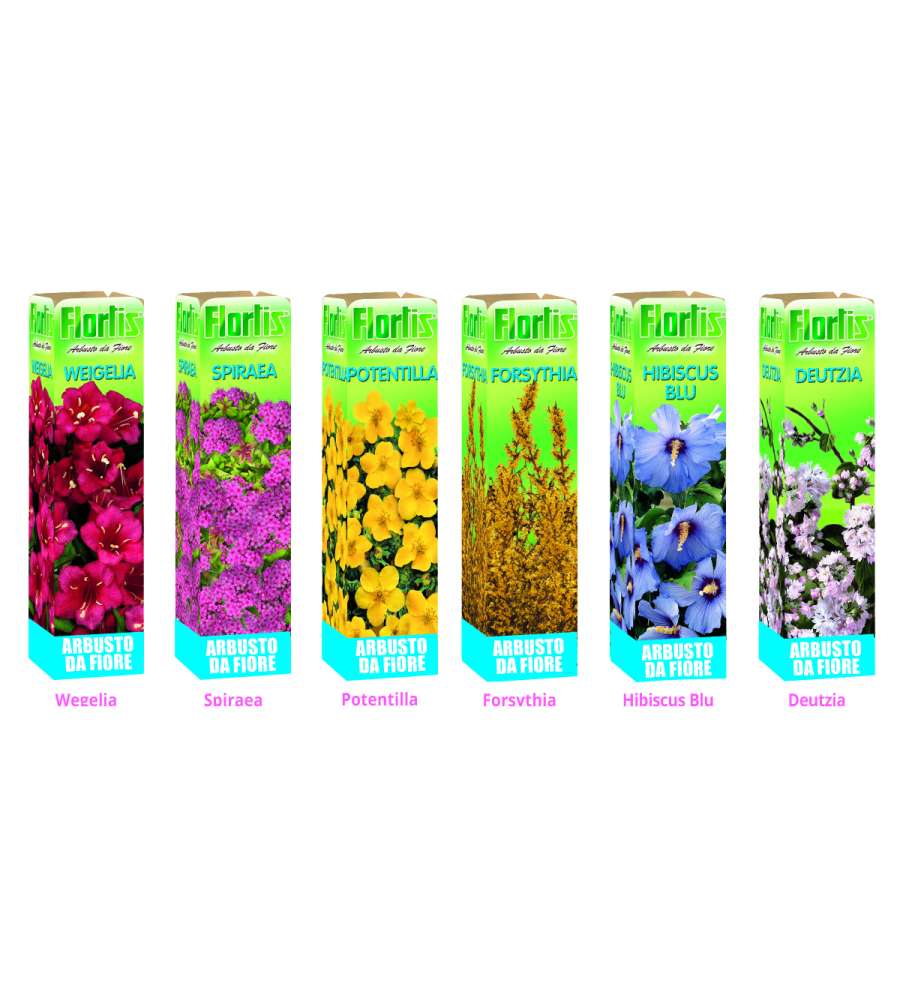 Arbusto da fiore ornamentale Set Mix