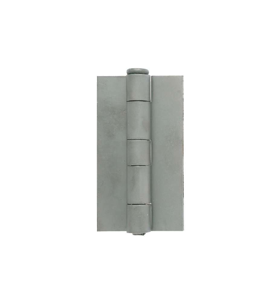 Cerniera Saldare Spina Levare Al 100X61    1227 Al