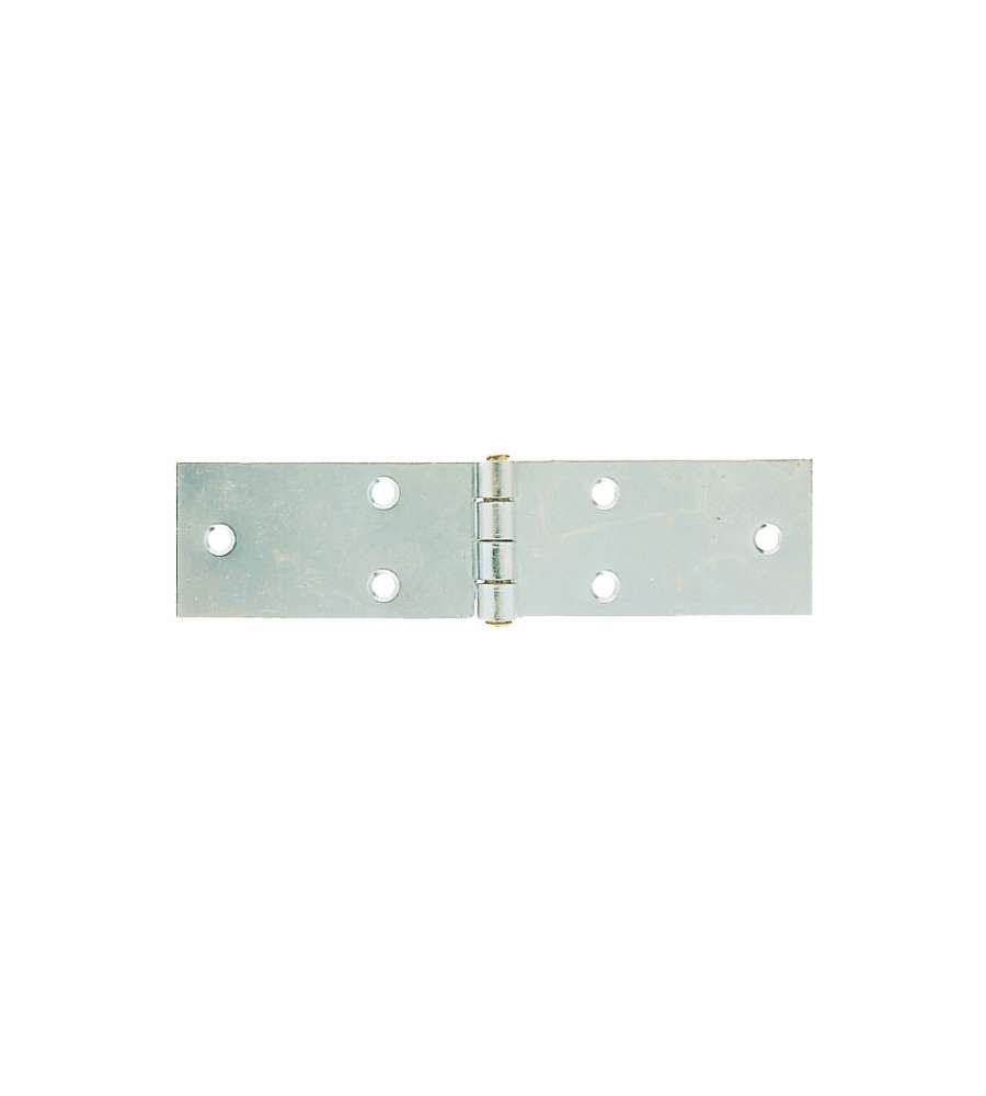 Cerniera Lunga Spina Fissa Zn 34X180        122 Al