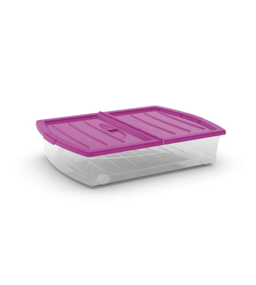 Spinning Box XL Viola Trasparente Keter