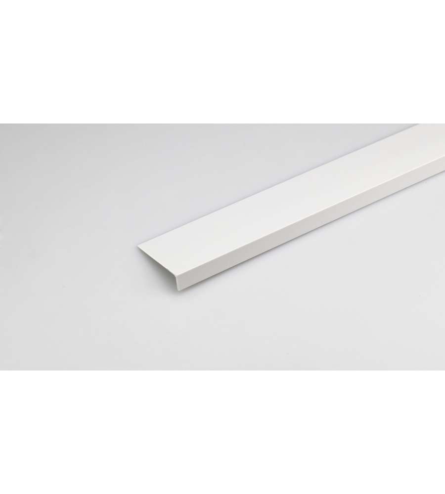 Angolare L 10 x 20 x 2000 mm