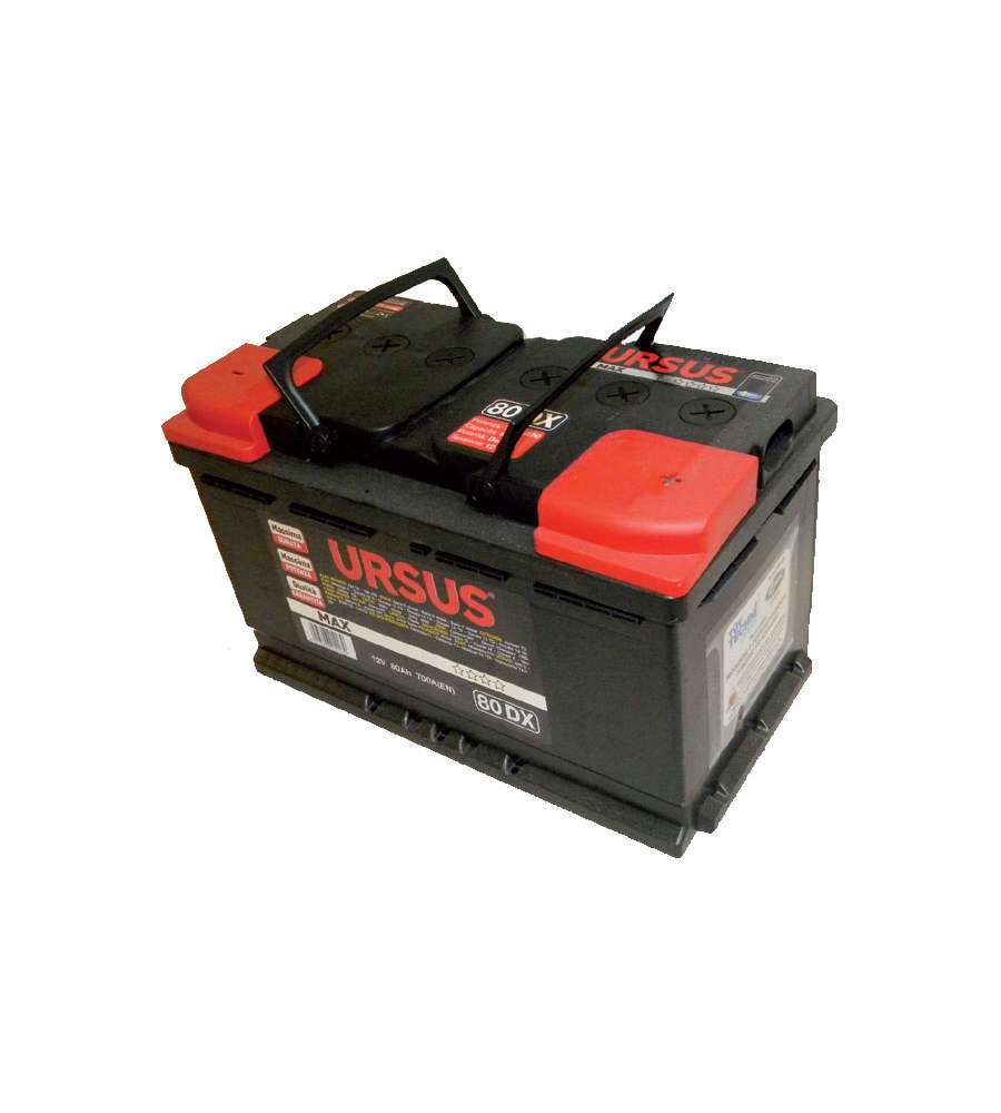 Ursus Batteria Auto 80 Ah Dx - Spunto 700A - 313x175x190 mm