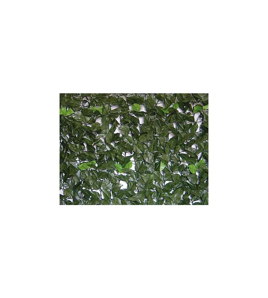 Siepe Evergreen Brixo Lauro 1X20Mt