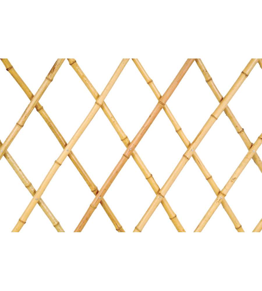 Traliccio Estensibile in Bamboo Naturale - 1,80 x 1,80 m