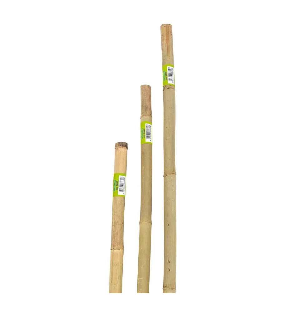Verdemax Canna Tutore in Bamboo Naturale - 180 cm
