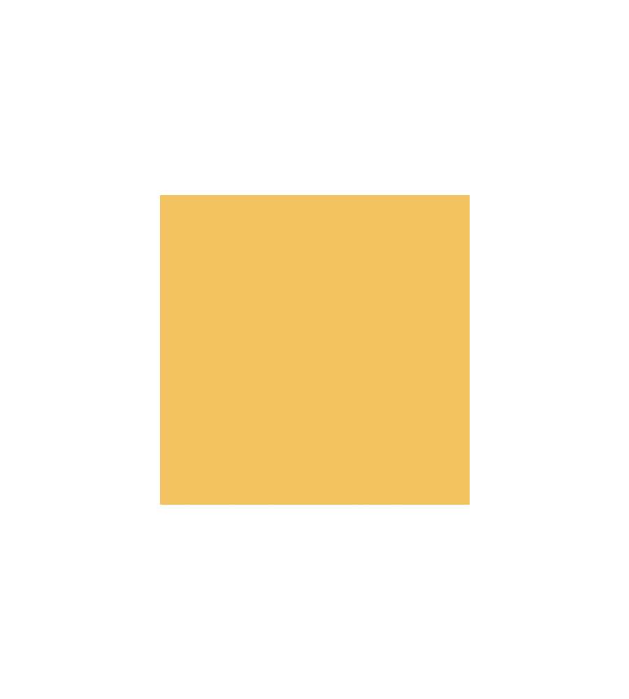 Max Meyer Idropittura Superlavabile Home Color - Giallo Senape 2.5 L