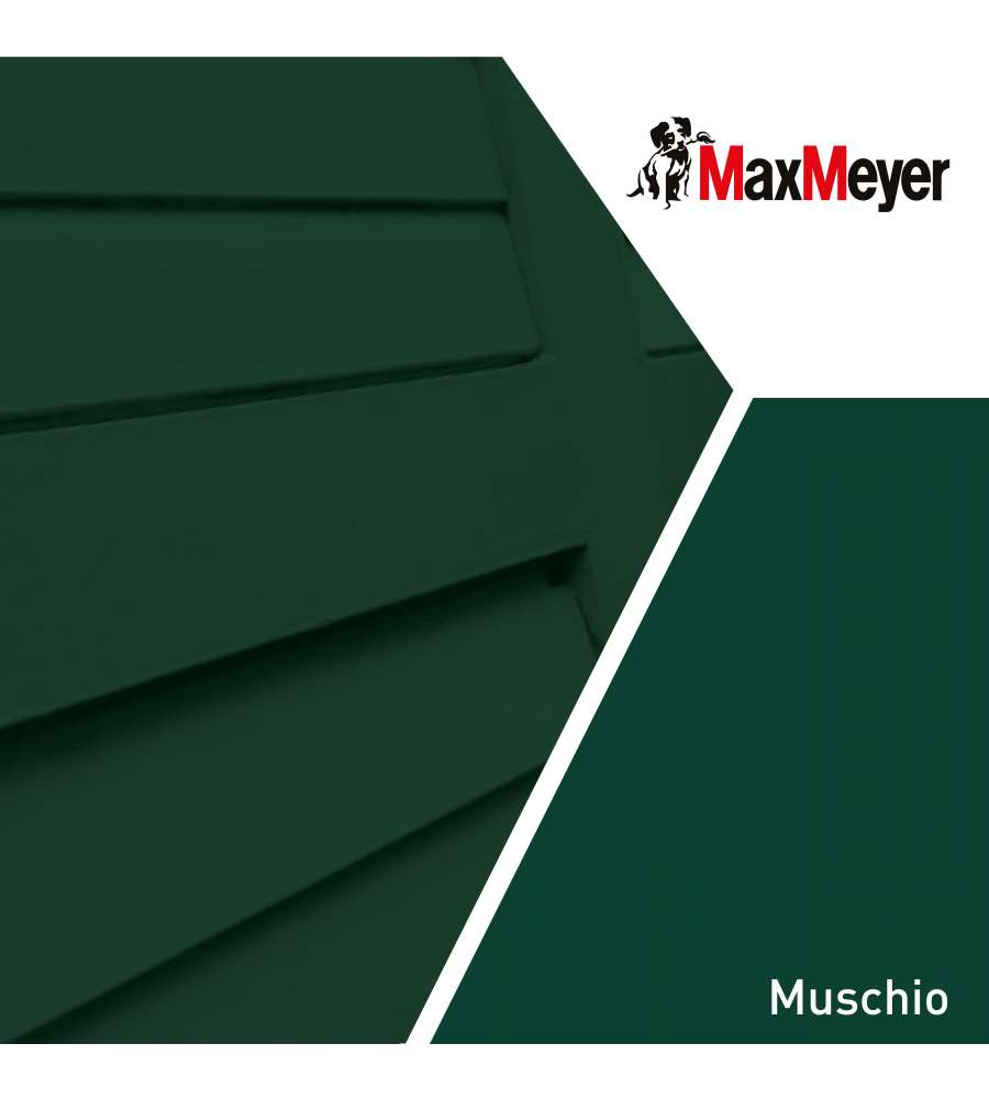 MaxMeyer Smalto a Solvente Brillante Muschio R6005 0,125 l