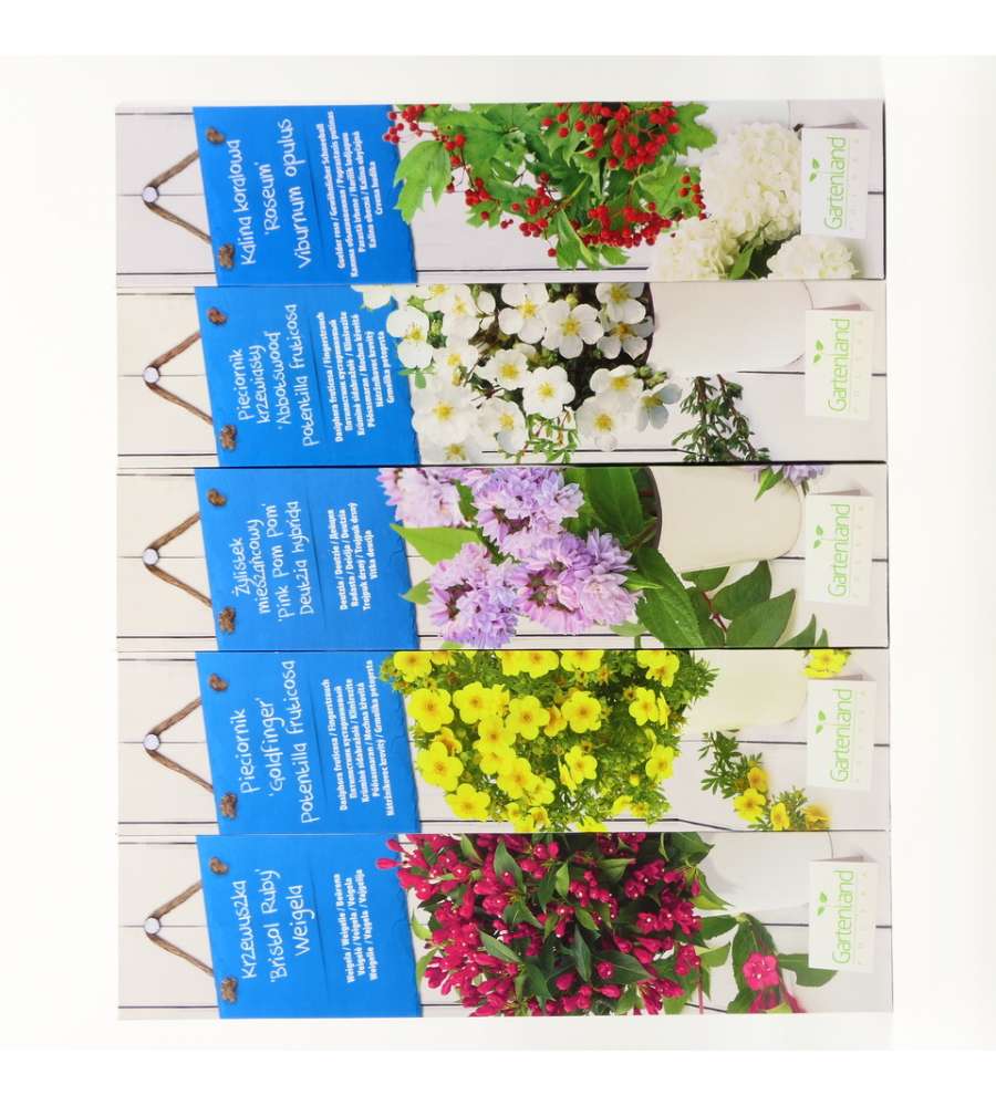 Floratoscana Arbusti da Giardino - Mix Fiori e Bacche