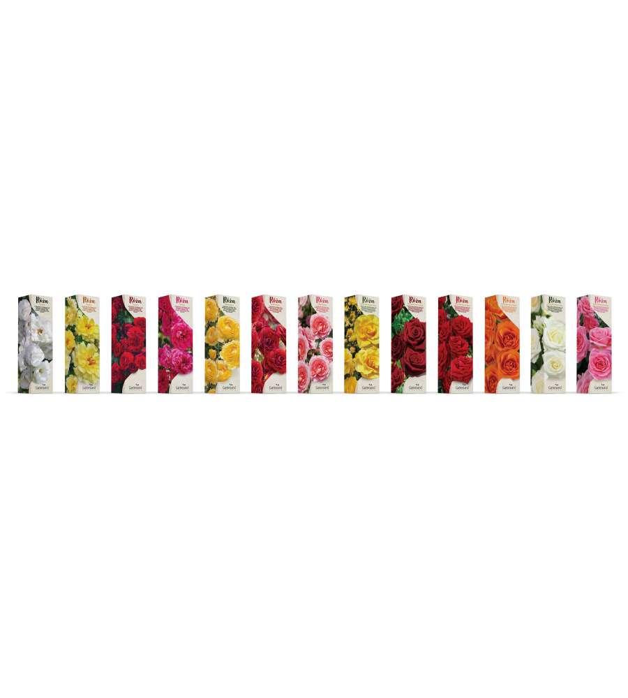 Floratoscana Rose Classiche - Pack di Piante Aromatiche