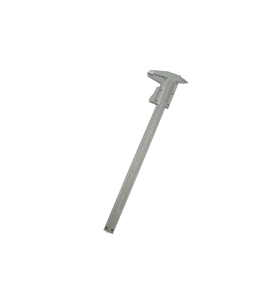 Calibro Inox 1/50  200                  Alte 05669