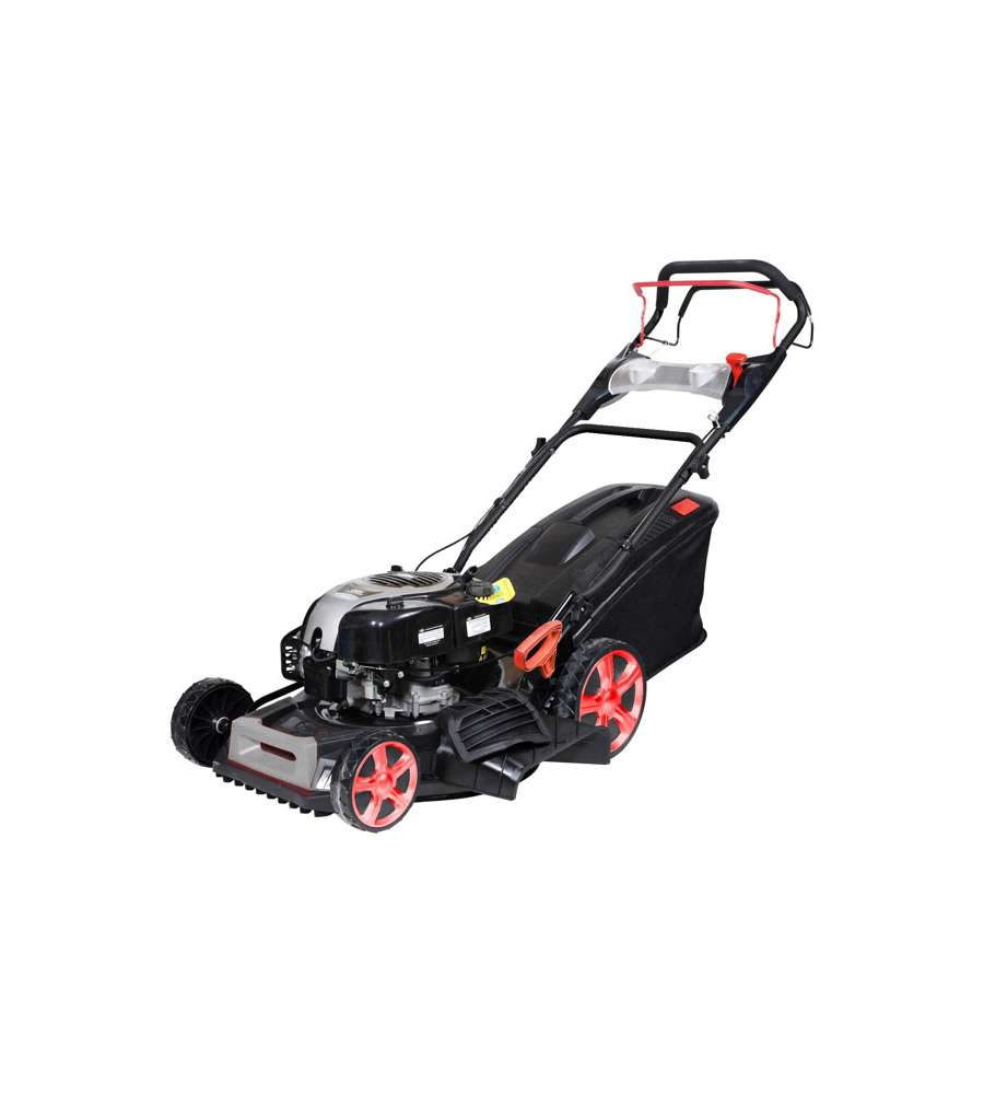 Rasaerba Semovente B&S Cm 51    RMT161 Excel 08795
