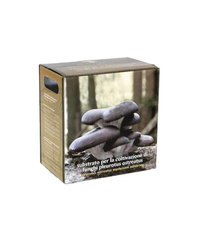 Substrato Coltivazione Funghi Ostreatus - Ideale per Interni