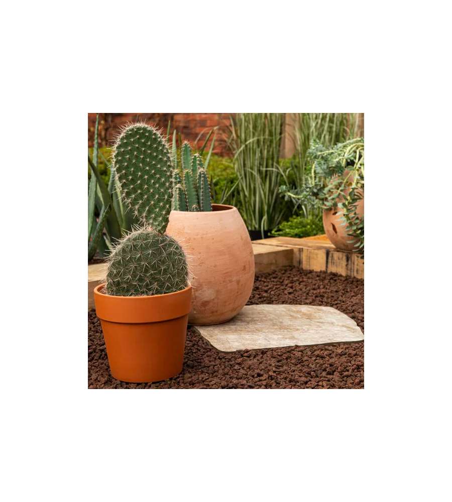 Granulati Zandobbio Passo Giapponese Barge Pietra Beige 42x32 cm