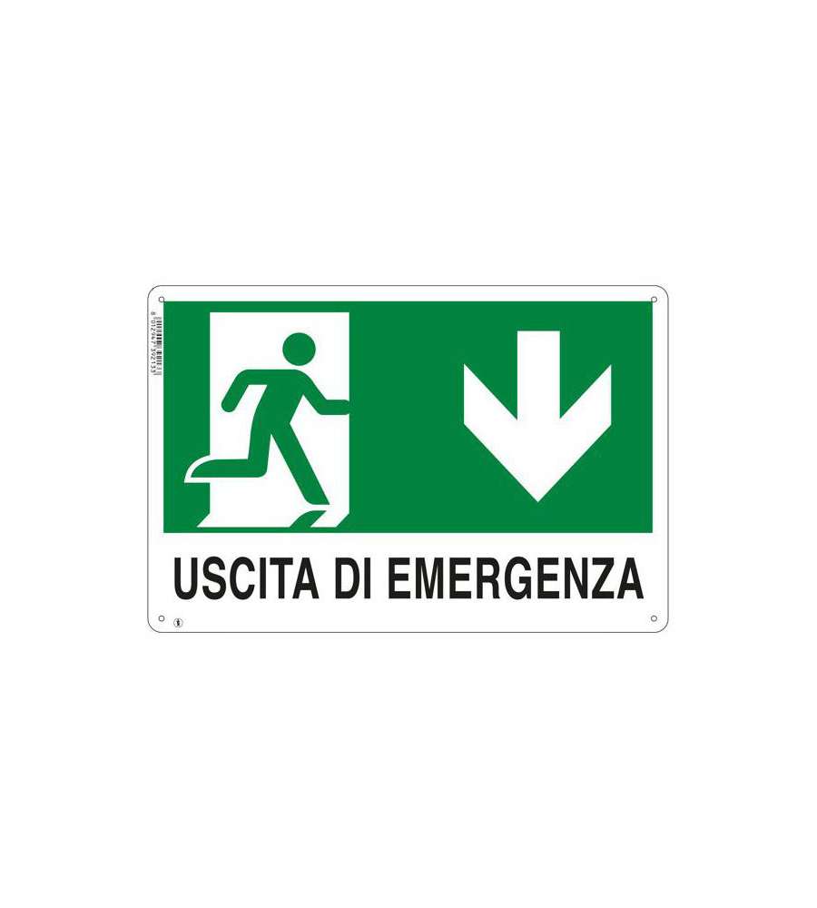 Cartello Uscita Emergenza Giu' 30X 20 Plastica