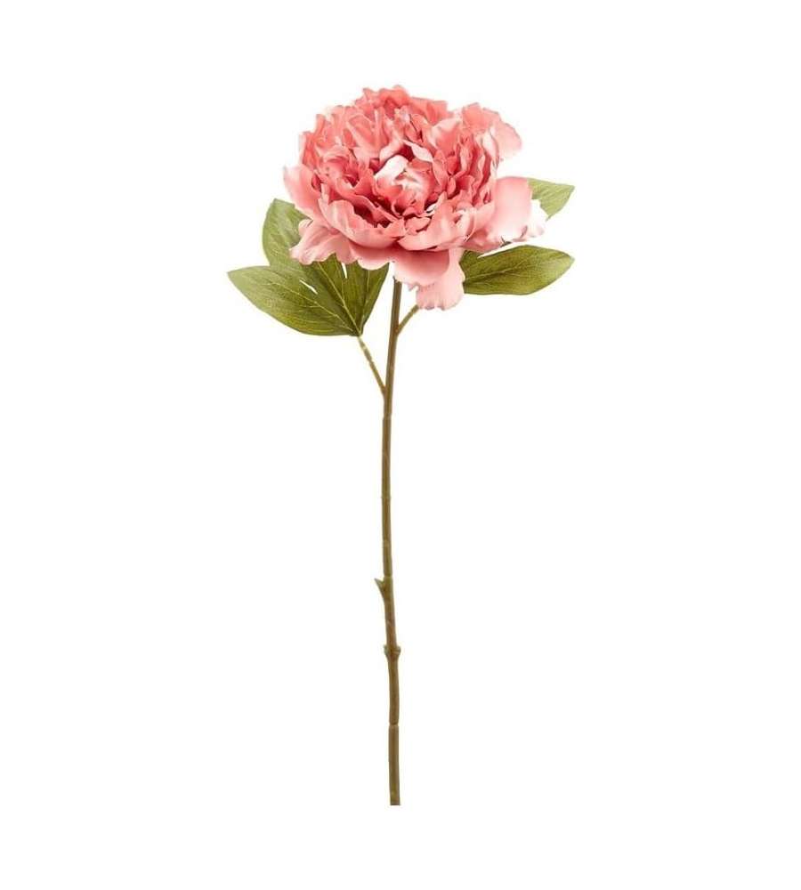Peonia Epoque ramo da 51 cm color Rosa