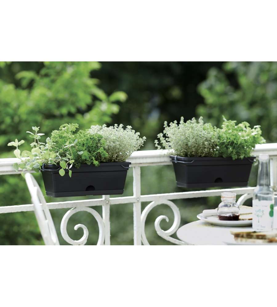 Elho Fioriera Basics Trough Mini - Nero - 30cm