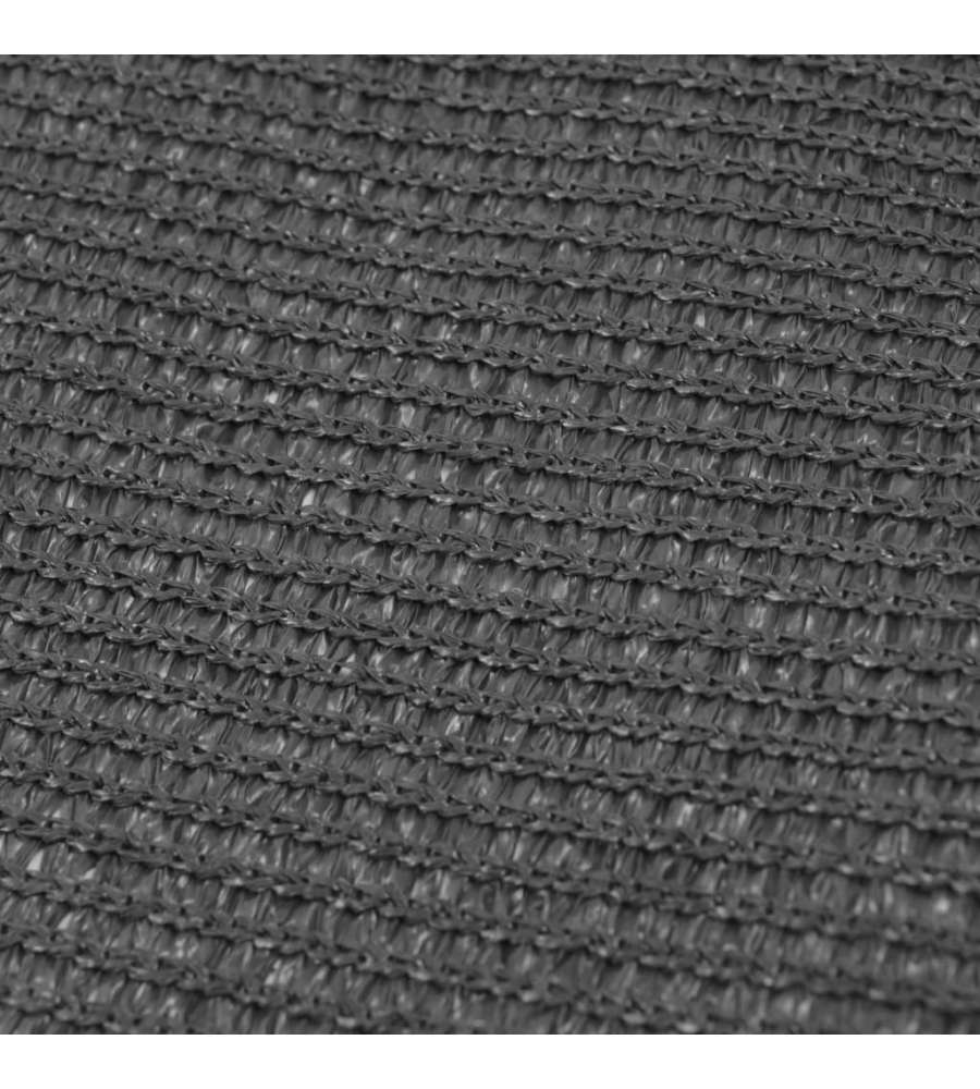 Tappeto da Tenda 250x200 cm Antracite