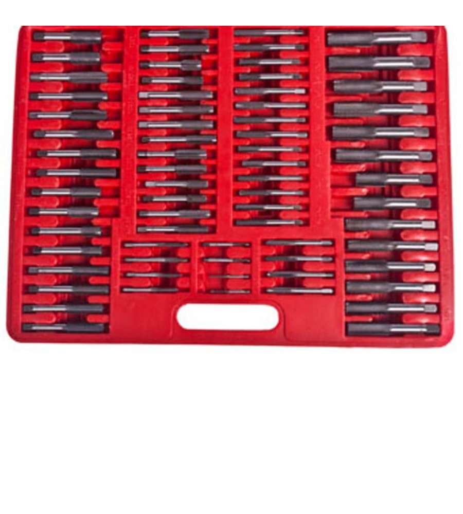 Set di Utensili Dadi e Filiere Maschi 111 pz