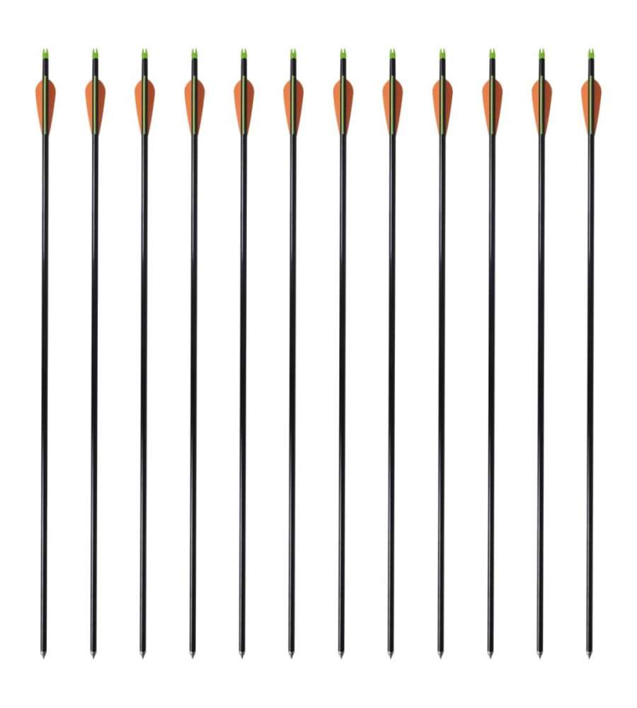 Frecce per Arco Composito Standard 12 pz 30