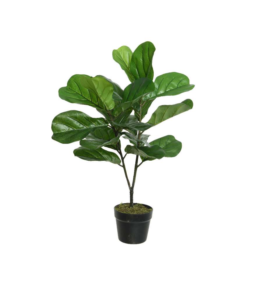 Pianta Fico artificiale 50x50xh71 cm