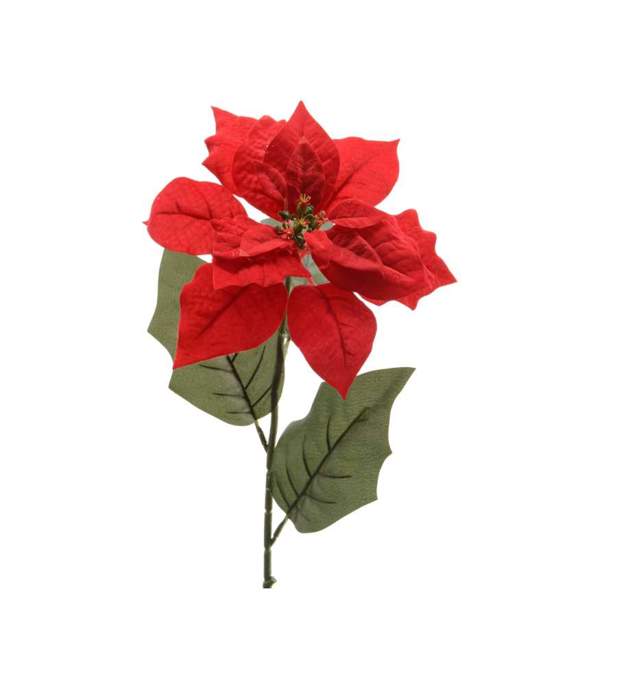 Stelo di Stella di Natale h 67 cm