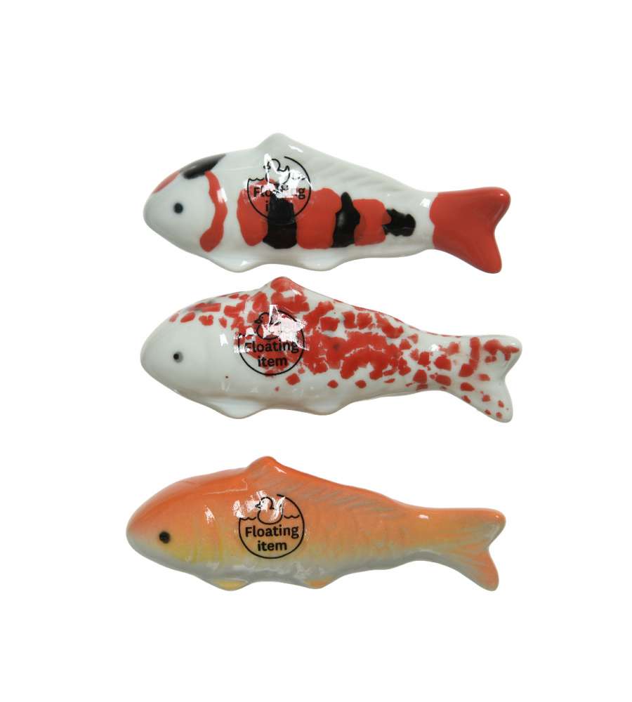 Pesci decorativi multicolore