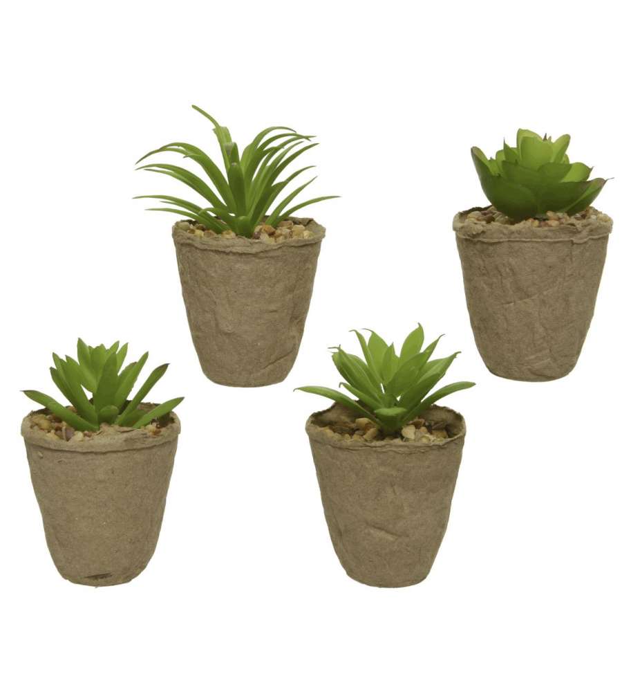 Pianta Grassa Artificiale con Vasetto in Cartone - 6xH8 cm
