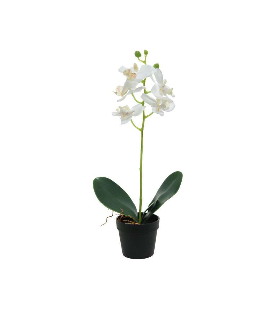 Orchidea artificiale