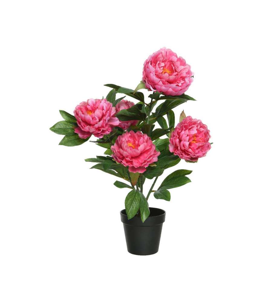 Peonia artificiale
