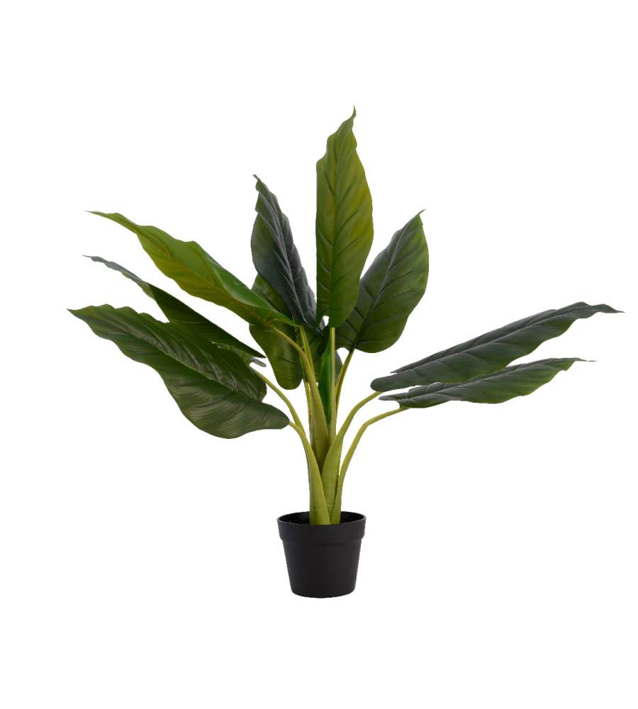 Pianta Strelitzia Artificiale H 80 Cm