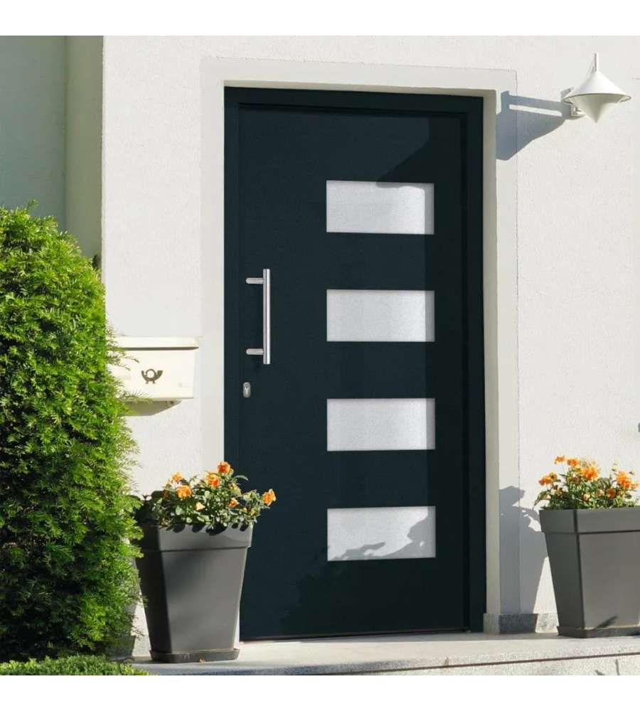 Porta d'Ingresso in Alluminio e PVC Antracite 110x210 cm 3056829