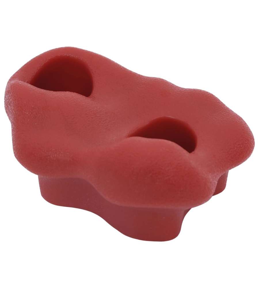 Prese da Arrampicata con Fune 25 pz Multicolore