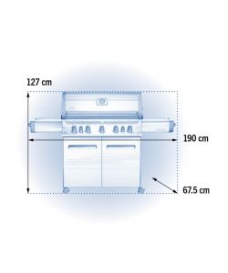 Barbecue Napoleon Prestige P665