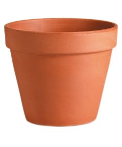 Vaso Cm 4 Easy Basic Sun