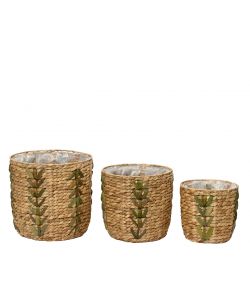 Cesta coprivaso media naturale e verde