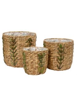 Cesta coprivaso media naturale e verde