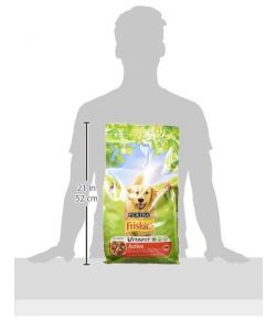 Friskies Cibo Secco Cane Active 4 kg Ricco in Carni Completo Bianco