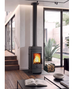 Invicta Stufa a Legna Remilly Plus Antracite 8,9 kW Compatta Convezione Naturale