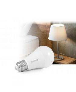 Lampadina Smart WiFi a LED