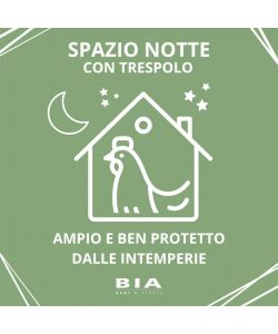 Foresta Pollaio XXL 204 cm per 6-10 galline in legno con tetto apribile