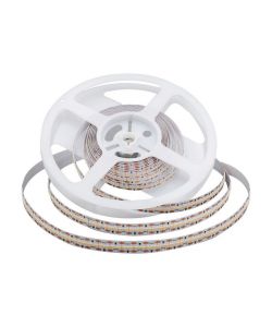 Strip LED SMD2110 21W/m 5m 700 LED/m 150LM/W 24V 6400K IP20 CRI>95 12mm