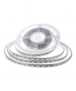 Strip LED SMD2835 7.5W/m 10m 120 LED/m 6500K 24V IP65 10mm